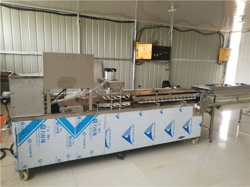青岛多功能烙馍机销量全国 图