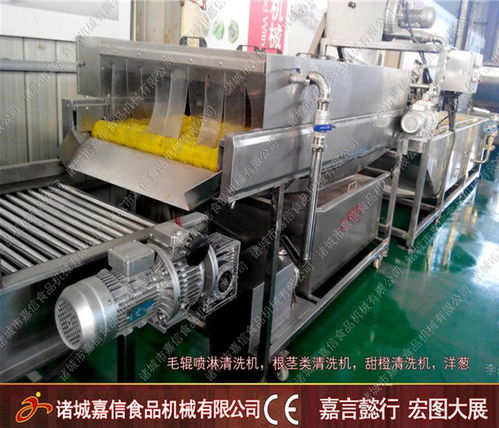 白菜气泡清洗加工机一站式服务专业团队在线服务