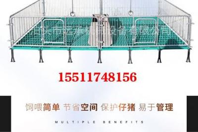 养殖机械母猪产床